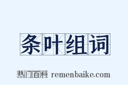 条叶组词是什么意思的图片